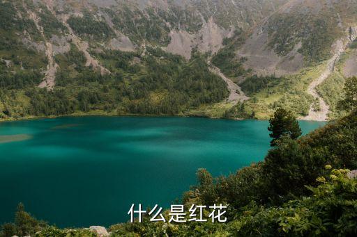 红花，什么是红花