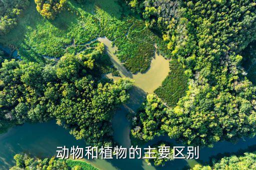 动物与植物，植物和动物的区别是啥