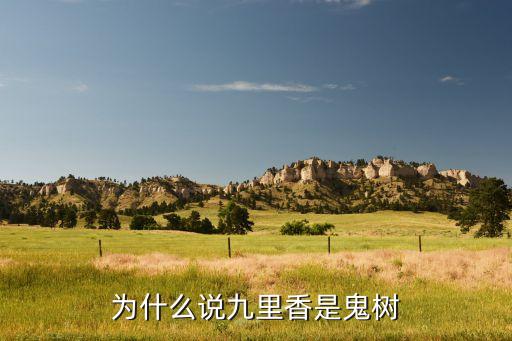 为什么说九里香是鬼树