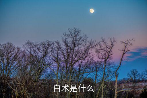 中药白术，白术是什么东西