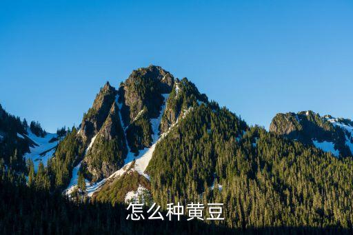 怎么种黄豆