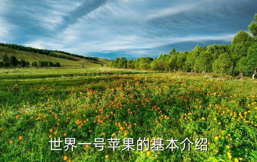 世界一号苹果的基本介绍