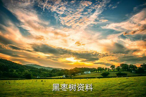 黑枣树，黑枣树属于枣树吗