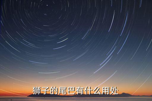 狮子尾，狮子的尾巴有什么用处