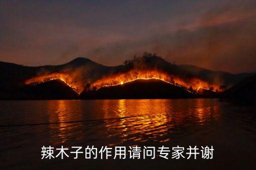 辣木籽的作用与功效，辣木籽有什么功效