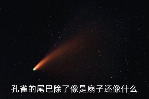 孔雀的尾巴像什么，孔雀展开的尾巴像什么