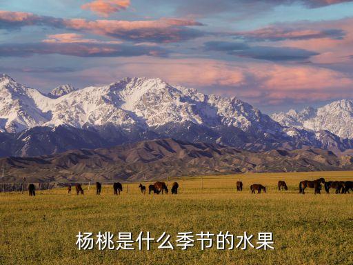 杨桃是什么季节的水果