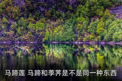 马蹄是荸荠吗，马蹄是撒