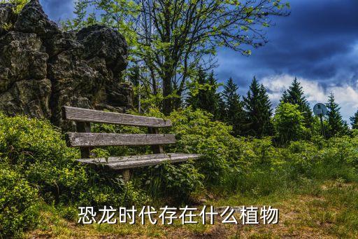 恐龙时代存在什么植物