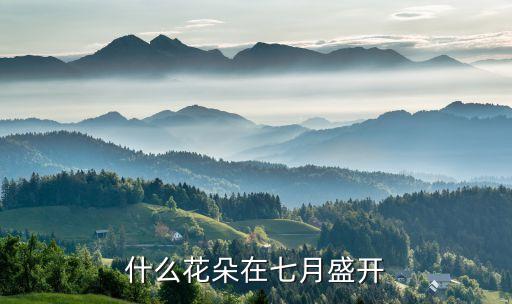 七月什么花开，七月是什么花开的时候