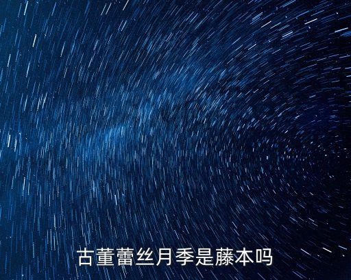 浪漫古董月季，有哪些古老月季