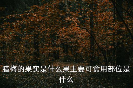 腊梅果实，腊梅的果实是什么果主要可食用部位是什么
