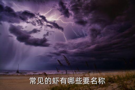 海虾种类大全，虾子的所有种类