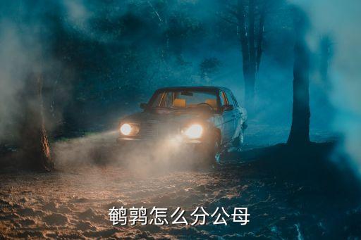 鹌鹑怎么分公母，鹌鹑怎么分公母