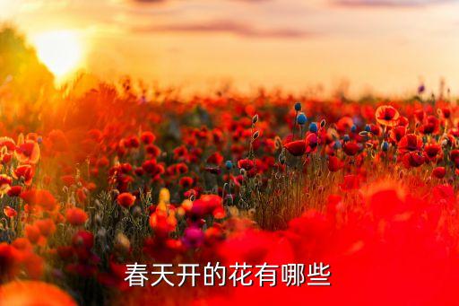 春天开的花有哪些