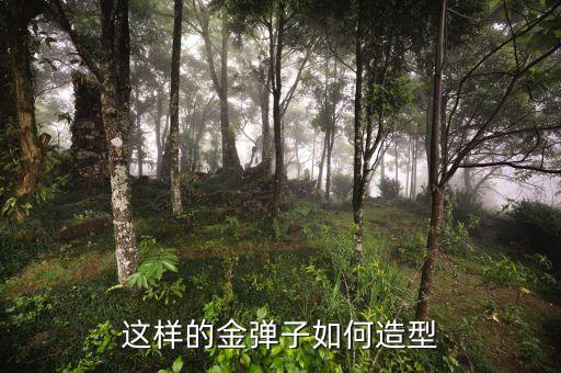 这样的金弹子如何造型
