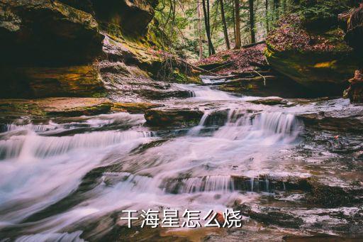 干海星怎么烧