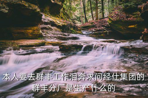 本人要去群丰工作泪奔求问经仕集团的群丰分厂是生产什么的