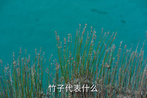 竹子代表什么
