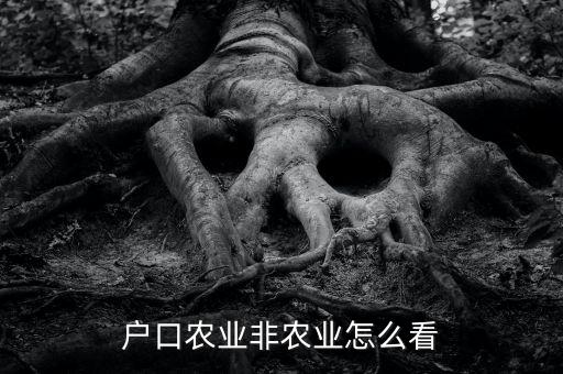 户口农业非农业怎么看