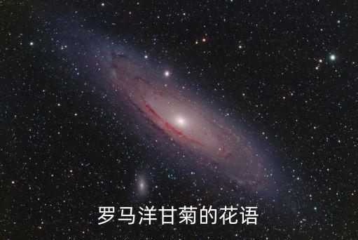 罗马洋甘菊的花语
