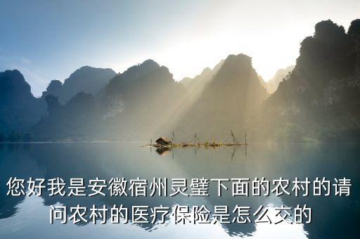 您好我是安徽宿州灵璧下面的农村的请问农村的医疗保险是怎么交的