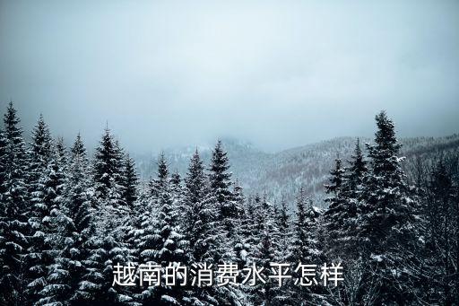 越南的消费水平怎样
