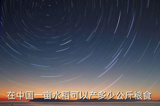 在中国一亩水稻可以产多少公斤粮食