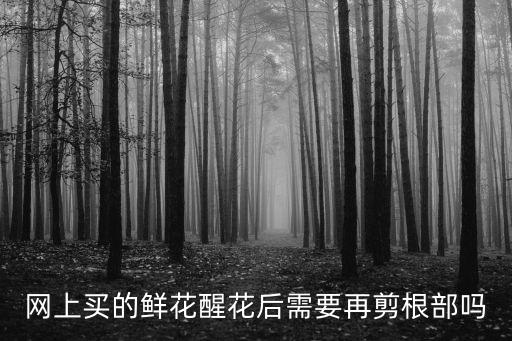 鲜花怎么醒花，鲜花怎么快速开