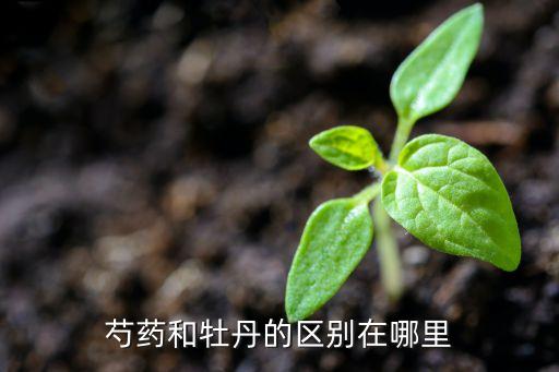 芍药花和牡丹花的区别，芍药和牡丹的区别在哪里