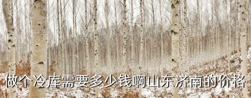 做个冷库需要多少钱啊山东济南的价格