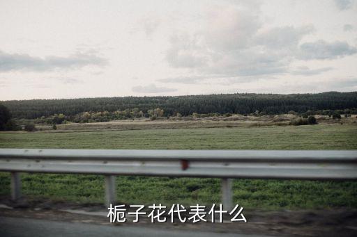 栀子花寓意，栀子花的花语