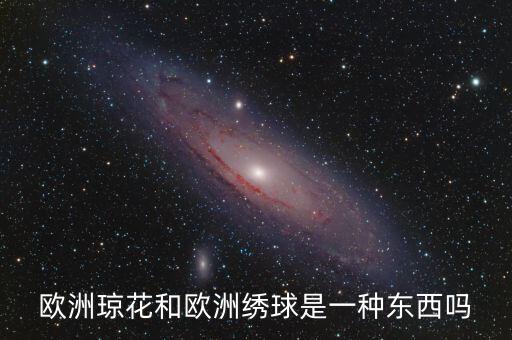 欧洲绣球，请问网友这4种白色的花花名叫什么