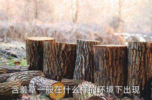 含羞草一般在什么样的环境下出现