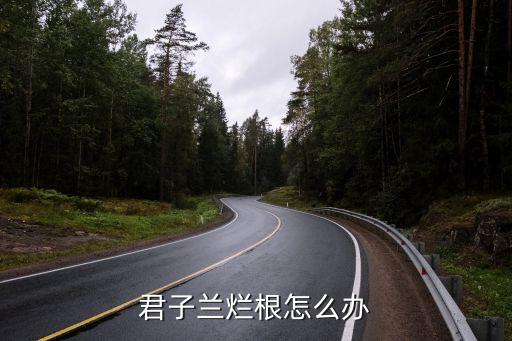 君子兰烂根怎么办