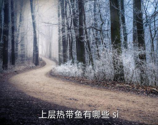 上层热带鱼有哪些 si