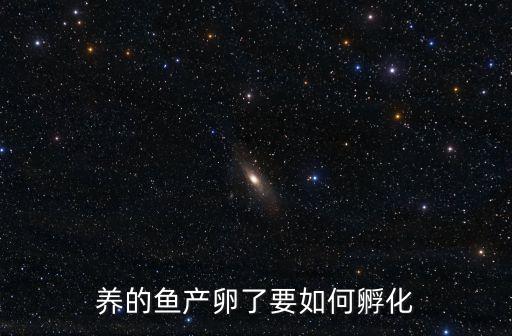 鱼卵孵化过程，养的鱼产卵了要如何孵化