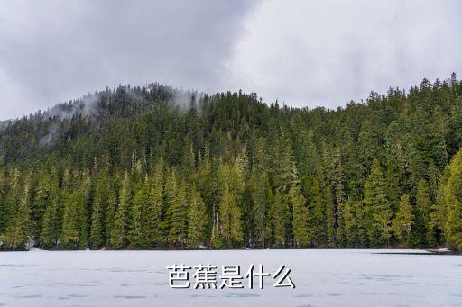 芭蕉，芭蕉是什么
