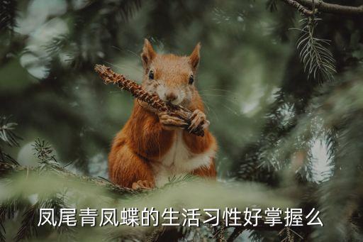 凤尾青凤蝶的生活习性好掌握么
