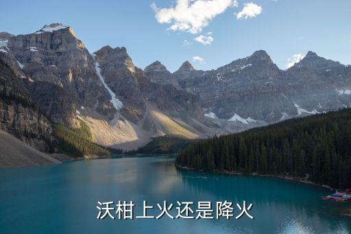 沃橘，沃柑是属于橙子还是橘子