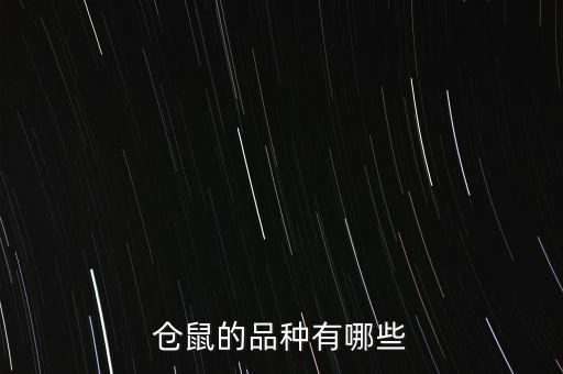 仓鼠的品种有哪些，仓鼠的品种有哪些