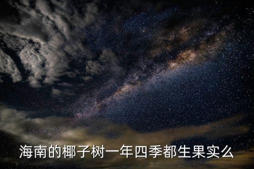 海南的椰子树一年四季都生果实么
