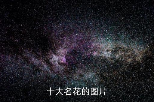 十大名花的图片