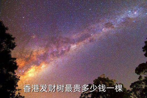 香港发财树最贵多少钱一棵