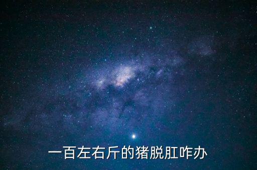 一百左右斤的猪脱肛咋办