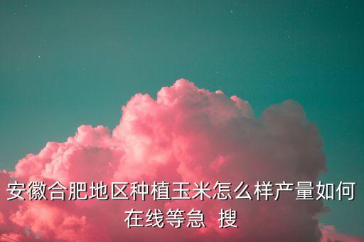 安徽合肥地区种植玉米怎么样产量如何在线等急  搜