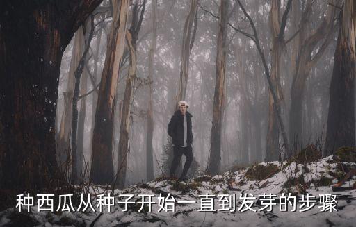 种西瓜从种子开始一直到发芽的步骤