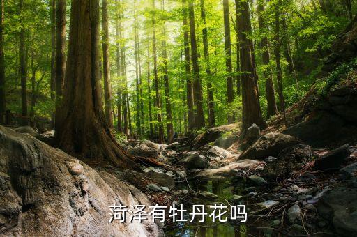 菏泽有牡丹花吗