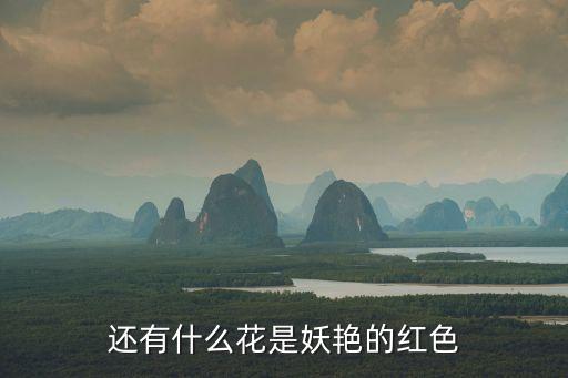 红色的花图片，红色的是什么花