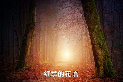 红掌的花语